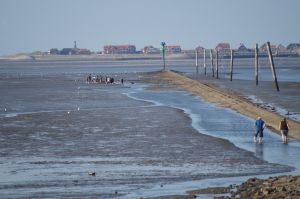 Bild 22: Ferienhaus Porten Nordsee- Küste, eingezäunter Garten, Urlaub mit Hunden