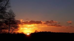 Bild 14: Mecklenburg Land Nähe Schwerin Ferienwohnung in ruhiger Lage mit Parkplatz