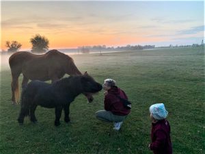 Bild 16: Mecklenburg Land Nähe Schwerin Ferienwohnung in ruhiger Lage mit Parkplatz
