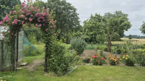 Bild 4: Mecklenburg Land Nähe Schwerin Appartement in ruhiger Lage mit Parkplatz