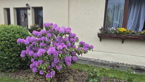 Frühling