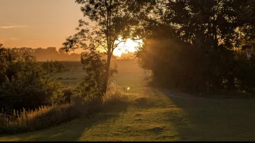 Sonnenuntergang hinter unserem Haus