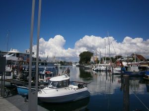 Hafen Niendorf von hieraus zum Hochseeangeln oder mit dem Boot Ausflüge machen.
Hier können Sie fangfrischen Fisch kaufen oder lecker essen gehen.
Und lecker Bier trinken von der Hausbrauerei Klüver