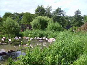 muss man gesehen haben- ein wunderschön angelegter Tierpark