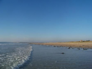 Bild 23: Les Salines, mit Hund am Strand, in den Dünen Lindbergh-Plage