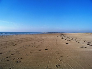 Bild 24: Les Salines, mit Hund am Strand, in den Dünen Lindbergh-Plage