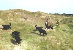 Bild 19: Les Salines, mit Hund am Strand, in den Dünen Lindbergh-Plage