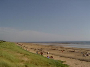 Bild 32: Ferienhaus mit Hunden am Strand Lindbergh-Plage, nähe Portbail; La Pacotte