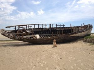 Bild 37: Ferienhaus mit Hunden am Strand Lindbergh-Plage, nähe Portbail; La Pacotte