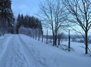 vor dem Haus beginnen die Ski und Wanderwege