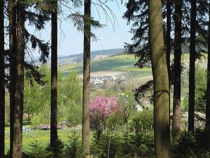 unweit des Ferienhauses Blick auf Ort, dem Schießberg und Liebenstein