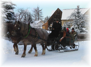Bild 16: Ferienhaus Familie Ziller Crottendorf Erzgebirge