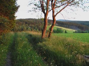 vom Schießberg in Crottendorf Blick zum Fichtelberg