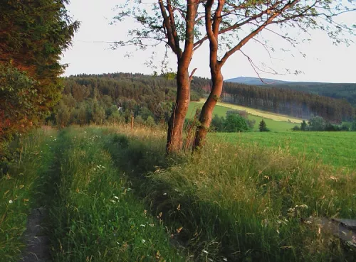 Wanderweg am Schießberg