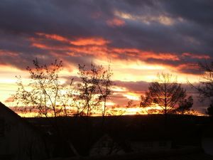 Bild 29: Ferienwohnung Zell