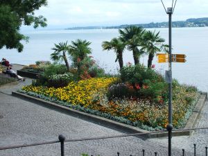 Bild 24: Ferienwohnung Zell