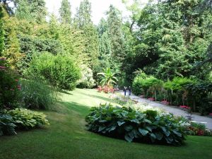 Bild 28: Ferienwohnung Zell