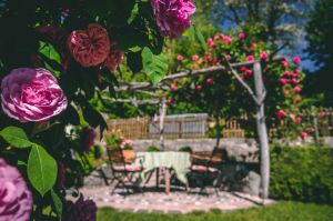Bild 6: Klaushausen - Ferienwohnung LUFTSCHLOSS in Überlingen