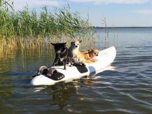 Piraten auf Schatzsuche