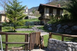 Bild 6: hundefreundliche Haus Giulia mit eingezäunten Garten am LedroseeOberitalien