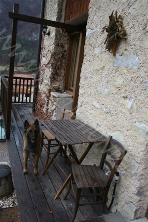 Bild 20: hundefreundliche Haus Giulia mit eingezäunten Garten am LedroseeOberitalien