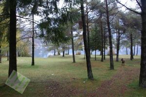 Bild 24: hundefreundliche Haus Giulia mit eingezäunten Garten am LedroseeOberitalien