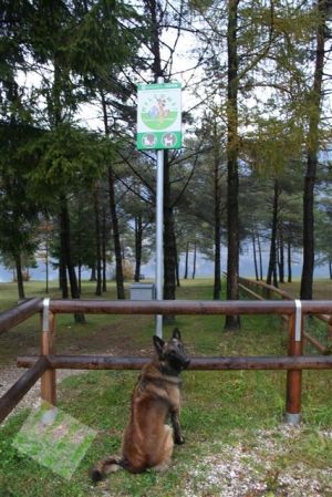 Bild 26: hundefreundliche Haus Giulia mit eingezäunten Garten am LedroseeOberitalien