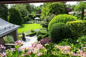Fensterblick aus der Küche