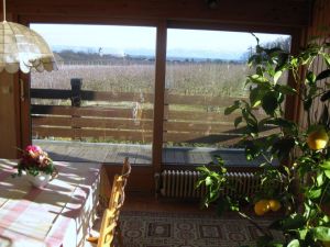 Bild 1: Ferienwohnung (Nichtraucher) im Haus Strauß ca.85qm