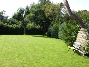 Genügend Platz - auch für Sonnenliegen