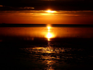 Bild 24: Ferienwohnung Mühlenblick in Rysum bei Greetsiel