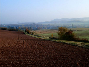 Bild 15: Ferienwohnung der Toepferei Moses, Eifel