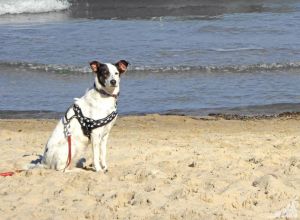 darf die ganze Familie :-)