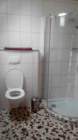 Bild 3: Urlaub im schönen Ammerland Ferienwohnung zur Rotbuche