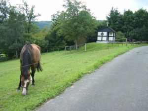 Bild 12: Ferienwohnung Haus Rübezahl