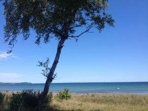 Der Wieker Bodden mit Blick zur Insel Hiddensee.