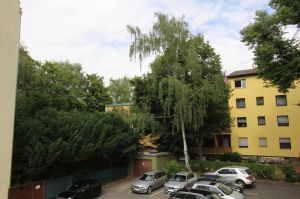Bild 16: Appartement "Orchidee" City Berlin