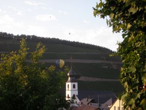 Ballonflüge Bild 28: Urlaub an der Mosel mit Hund