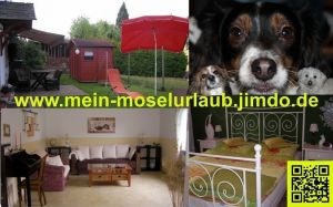 Ferienwohnung mit Hund