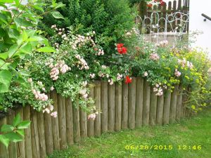 Garten Bild 4: Urlaub an der Mosel mit Hund