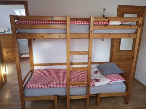 Bild 19 Bild 19: Ferienwohnung Haus Maria Hochschwarzwald