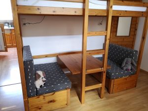 Bild 20 Bild 20: Ferienwohnung Haus Maria Hochschwarzwald