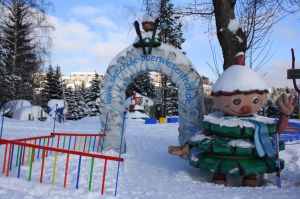 Bild 26: Nichtraucher-Ferienwohnung Ebert&Green im Erzgebirge