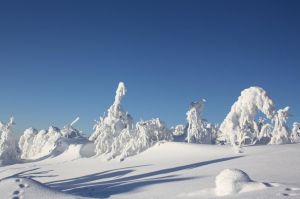 Bild 30: Nichtraucher-Ferienwohnung Ebert&Green im Erzgebirge