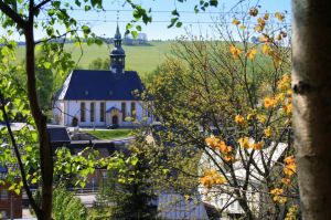 Bild 15: Nichtraucher-Ferienwohnung Ebert&Green im Erzgebirge