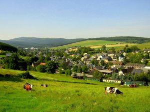 Bild 11: Nichtraucher-Ferienwohnung Ebert&Green im Erzgebirge
