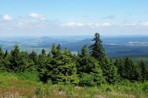 Bild 21: Nichtraucher-Ferienwohnung Ebert&Green im Erzgebirge