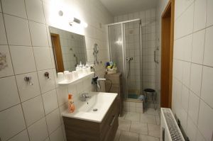 Bild 6: Nichtraucher-Ferienwohnung Ebert&Green im Erzgebirge
