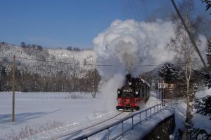 Bild 24: Nichtraucher-Ferienwohnung Ebert&Green im Erzgebirge