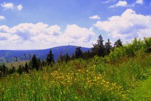 Bild 16: Nichtraucher-Ferienwohnung Ebert&Green im Erzgebirge